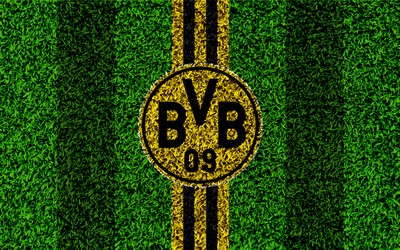 龙珠电竞独家-加拿大跳水奥运冠军贩毒被捕